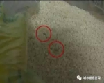 男子超市买免淘洗大米 吃到一半发现有石子和玻璃 - 新浪吉林
