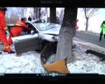 九台乡道旁一出租车撞击大树 车上一男一女被困 - 新浪吉林