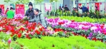 农博园花卉展区里的鲜花美艳动人。　　本组摄影 武官政 - 新浪吉林