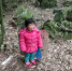 1月28日，渠县李馥镇，一名两岁的小女孩被人拴在坟场旁的竹子上，女孩被冻得放声大哭。 警方供图 - 新浪吉林
