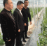 温岭市领导调研农业发展工作 - 农业机械化信息网