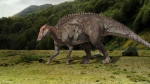 中外科学家在吉林延边发现大量恐龙足迹 - 新浪吉林