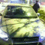 男子的轿车被拦下 微博图片 - 新浪吉林