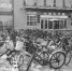 校园路边停放着不少自行车。 摄影 李子涵 - 新浪吉林