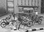 校园路边停放着不少自行车。 摄影 李子涵 - 新浪吉林