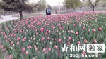 朱晓云 - News.365Jilin.Com