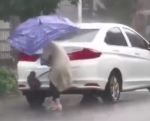 一位女士借着大雨撑伞刷车 被网友称为最勤劳车主 - 新浪吉林