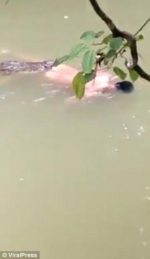 鳄鱼将裸身男子拖入水中 次日将其尸体完好送回 - 新浪吉林