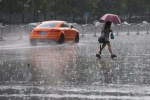 长春市区南部有雨局部有大雨 今日最高气温26℃ - 新浪吉林