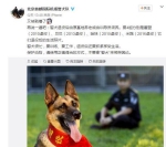 2016年11月北京首都国际机场警犬队发布澄清微博。 - 新浪吉林