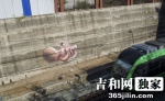 长春轻轨3号线墙体现婴儿涂鸦引热议(图) - News.365Jilin.Com