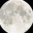 “十五的月亮十七圆” 今年最圆在6日2时40分 - 新浪吉林