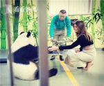 美第一夫人喂熊猫 是谁教特朗普外孙女中文的？竟然是她 - News.365Jilin.Com