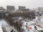 11日上午，长春上空还在飘雪，雪花模糊了视线，覆盖房屋。（摄影 贾雪梅） - News.365Jilin.Com