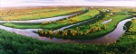 湿地，城镇可持续发展的未来 - 林业厅