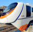 “长客造”新一代 跨座式单轨列车亮相 - 新浪吉林