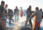 《致敬新时代》特刊春节玩雪在吉林幸福旅游过大年 - 长春新文化网