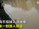 视频：小狗不慎掉入洪水 路人合力将其救上桥 - 新浪吉林
