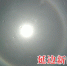 延吉市民拍下“圆彩虹”气象部门解释为日晕现象 - 新浪吉林