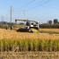 QQ图片20180921174320.jpg - 农业机械化信息网