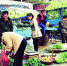 长春市民在绿园区铁西街秋菜销售点购买秋菜 - 新浪吉林
