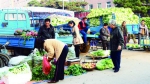 长春市民在绿园区铁西街秋菜销售点购买秋菜 - 新浪吉林