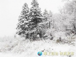 受雪天影响长白山部分景区关闭 - 新浪吉林