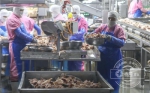 工作人员正在挑拣鸡肉 - 新浪吉林