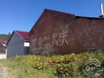 蚕业研究院写有标语的老厂房 - 新浪吉林