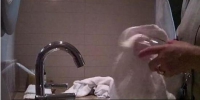 五星酒店再曝卫生乱象：一块脏浴巾擦遍杯子和厕所 - 新浪吉林