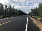 修建的203国道四平段 - 新浪吉林