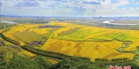 吉林舒兰的稻田（资料图）　王志苏　摄 - 新浪吉林