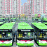 上图：整装待发的纯电动新能源公交车。 贾春文 摄 - 新浪吉林