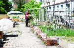 长春市超达家园“小菜园”又变回绿地了 - 新浪吉林