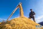 在吉林省吉林市一拉溪镇，农民在运粮车上整理收割机收获的水稻(2018年9月17日摄)。新华社记者 许畅 摄 - News.365Jilin.Com