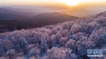 这是在长白山林区拍摄的雾凇景色(2018年1月13日无人机拍摄)。新华社记者 许畅 摄 - News.365Jilin.Com