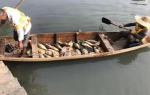 环卫人员正在打捞永和河被污染的死鱼。 本文图片均来自广州市河长办 - 新浪吉林