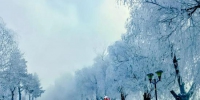 风雪过后 吉林市雾凇首秀 - 新浪吉林