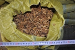 汪清警方破获部督非法经营烟叶案 查获烟叶约86吨 - 新浪吉林