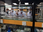 好消息！东北师范大学研发出系列抗病毒消毒产品 - 新浪吉林