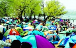 湖边的帐篷连成一片 本组图片 长春晚报记者 王强 摄 - 新浪吉林
