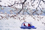 湖上的游船成了独特的风景 - 新浪吉林