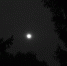 6日晚，长春上空的月亮 - 新浪吉林