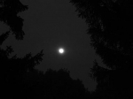 6日晚，长春上空的月亮 - 新浪吉林
