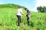 肖明君与村民在种植基地检查种植情况 - 新浪吉林