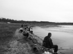 在伊通河畔，聚集着大量垂钓爱好者 实习生 李嘉欣 摄 - 新浪吉林