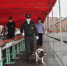 吉林省创新开展警犬技术服务高考安保搜爆工作 - 新浪吉林