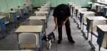吉林省创新开展警犬技术服务高考安保搜爆工作 - 新浪吉林