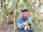 夹信子村的玉米丰收了，农民脸上洋溢着喜悦的笑容。 吉林日报记者 姜岸松 摄 - 新浪吉林
