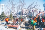 绿化管理中心的工作人员正在种树。 孙建一 摄 - 新浪吉林